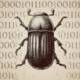 Bug Bounty Faq: Top Questions, Expert Answers