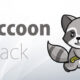 New Raccoon Attack Could Let Attackers Break Ssl/tls Encryption