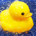 Lemon Duck Cryptocurrency Mining Botnet Activity Spikes
