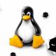 Sudo Bug Gives Root Access To Mass Numbers Of Linux