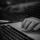 Iranian Hackers Utilize Screenconnect To Spy On Uae, Kuwait Government