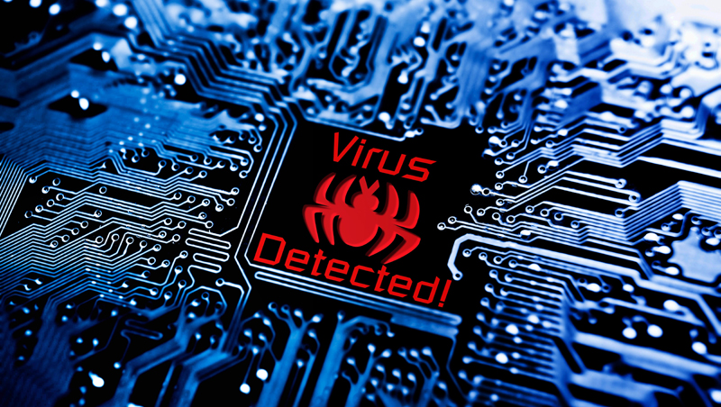 how computer viruses spread and how to avoid them