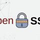 openssl releases patches for 2 high severity security vulnerabilities