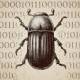 google project zero cuts bug disclosure timeline to a 30 day