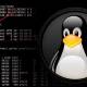 researchers uncover stealthy linux malware that went undetected for 3