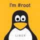 7 year old polkit flaw lets unprivileged linux users gain root access