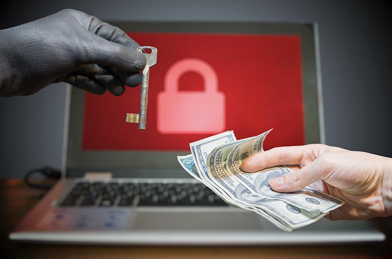 ransomware poll: 80% of victims don’t pay up
