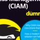 customer identity and access management for dummies