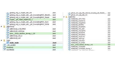 Screenshot showing the researcher&#039;s analysis of code samples showing how function names are randomised