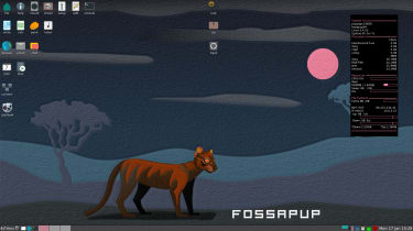 A screenshot of the Puppy Linux desktop