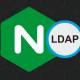 nginx shares mitigations for zero day bug affecting ldap implementation