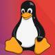 microsoft warns rise in xorddos malware targeting linux devices
