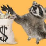 racoon stealer is back — how to protect your organization