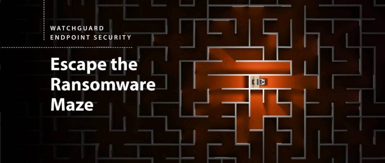 escape the ransomware maze