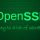 (just in) openssl releases patch for 2 new high severity vulnerabilities