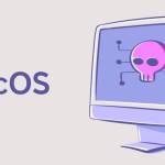 macos under attack: examining the growing threat and user perspectives