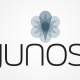 new juniper junos os flaws expose devices to remote attacks