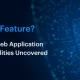 bug or feature? hidden web application vulnerabilities uncovered