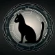 fbi takes down blackcat ransomware, releases free decryption tool