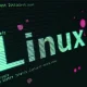 new perfctl malware targets linux servers for cryptocurrency mining and